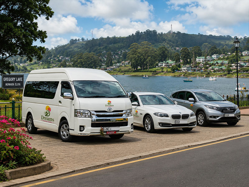 The Dreams Tours and Vacation fleet lined up and ready