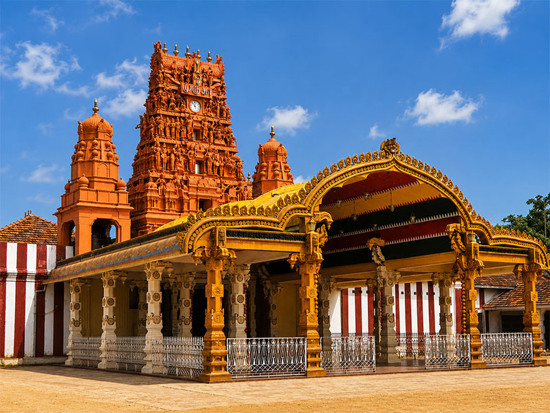 Discover Jaffna & The Vibrant North — photo 2
