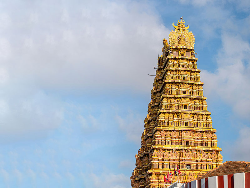Discover Jaffna & The Vibrant North — photo 4
