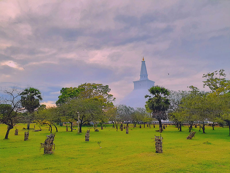 The Cultural Triangle & Wildlife Safari — photo 1