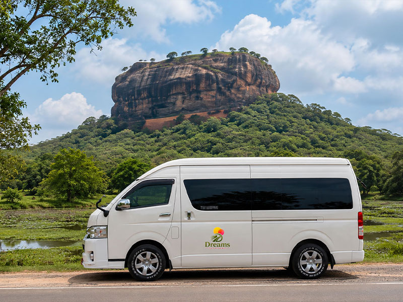 The Cultural Triangle & Wildlife Safari — photo 2