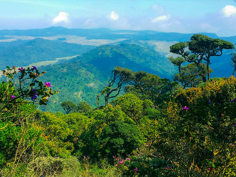 Sri Lanka Eco & Adventure Trails — photo 2