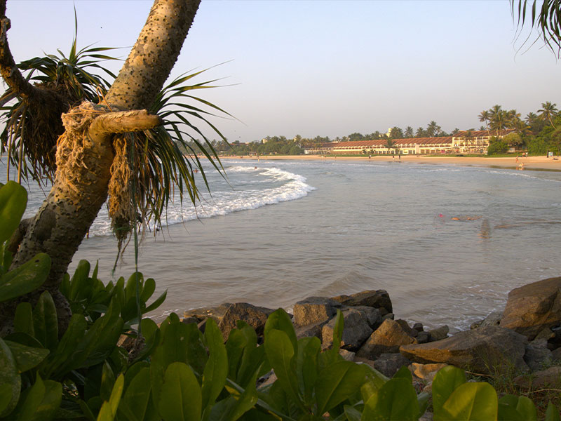 Luxury Honeymoon & Tropical Romance — photo 2